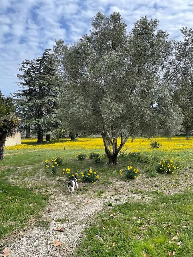 Le Mogador Chateau Du Martinet Bed & Breakfast